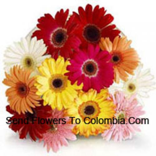 12 Assorted Gerberas with Fillers